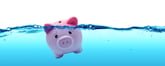 Piggy Bank Drowning