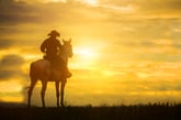 Cowboy on horse in sunset