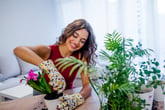 Woman gardening with indoor plants
