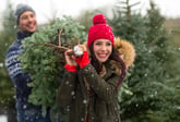 9 Ways to Cut the Cost of a Christmas Tree