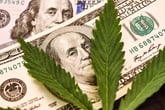 7 States That Made Millions in Marijuana Taxes in 2018