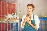 A woman working in an animal shelter taking care of animals