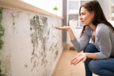 Frustrated homeowner woman looking at mold on exposed wall beneath the window