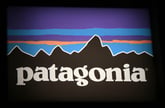 Patagonia to Donate All Black Friday Sales to Charity