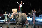 After 146 Years, Ringling Bros. Circus to Take Final Curtain Call
