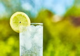 ‘Alcoholic Seltzer’ Is the Latest Buzz in Adult Beverages