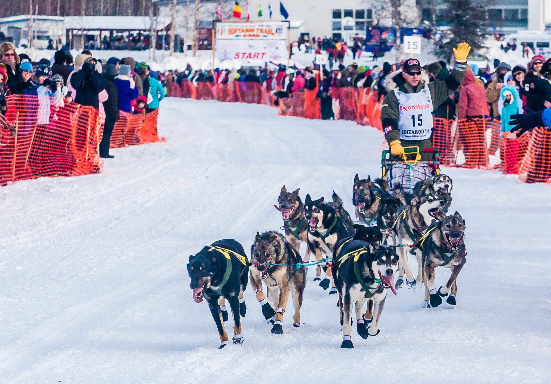Iditarod Trail Sled Dog Race. Большая гонка на Аляске. Штаб-квартиры гонок на собачьих упряжках Iditarod Trail.. Iditarod Trail Sled Dog Race логотип. Гонка аляска