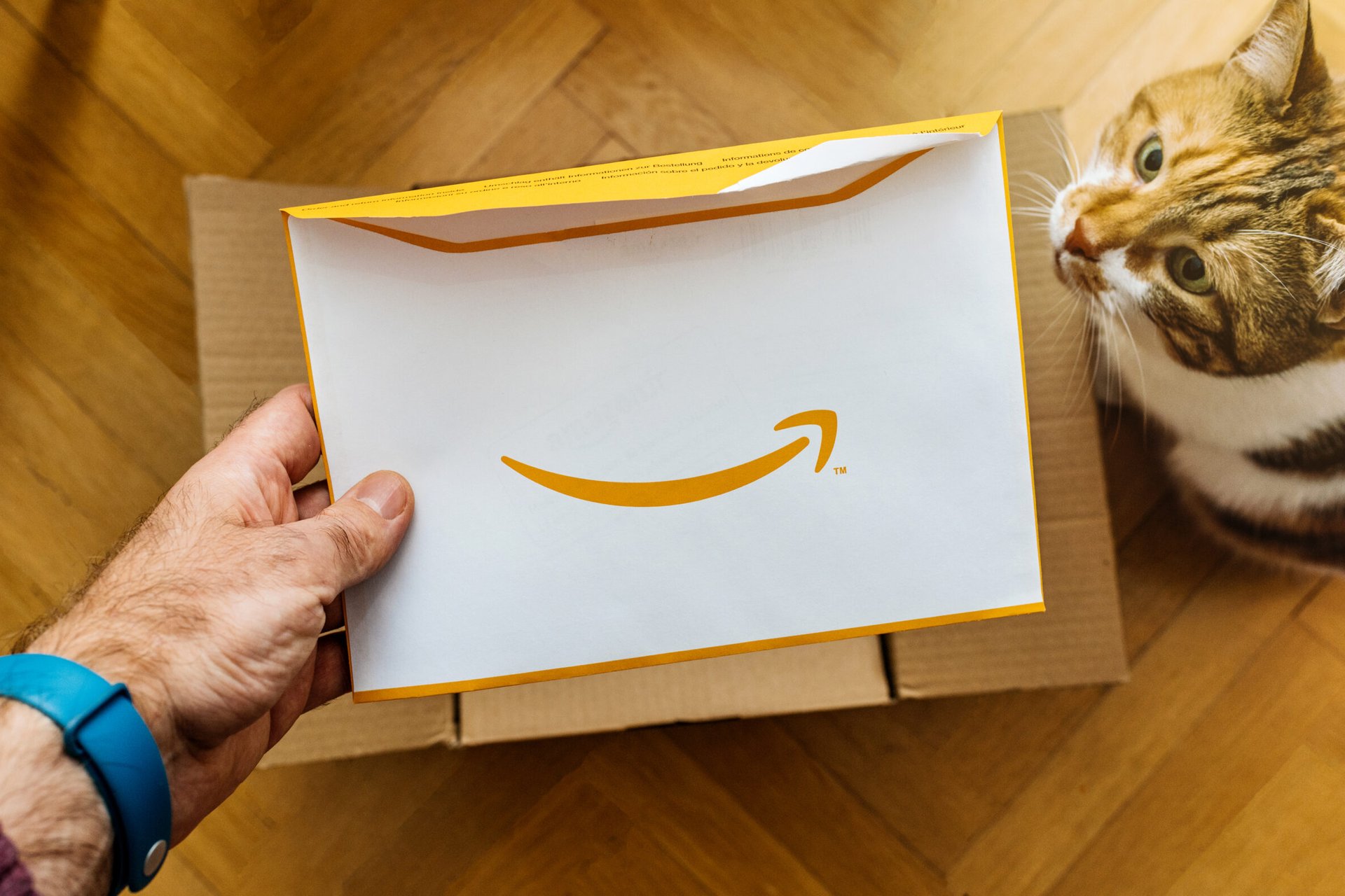 Hand holding an Amazon envelope or package while pet cat looks up