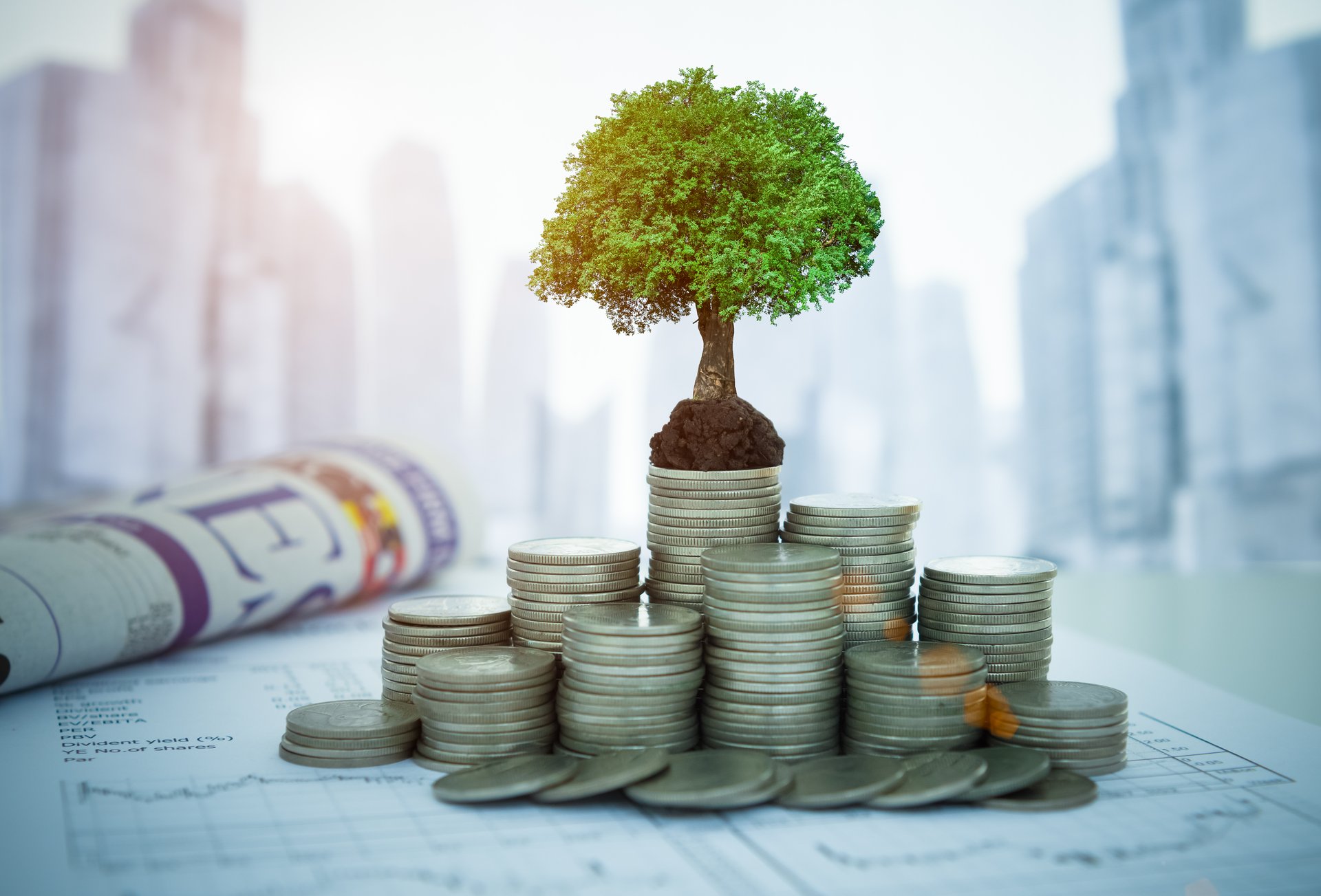A tree symbolizing investment growth