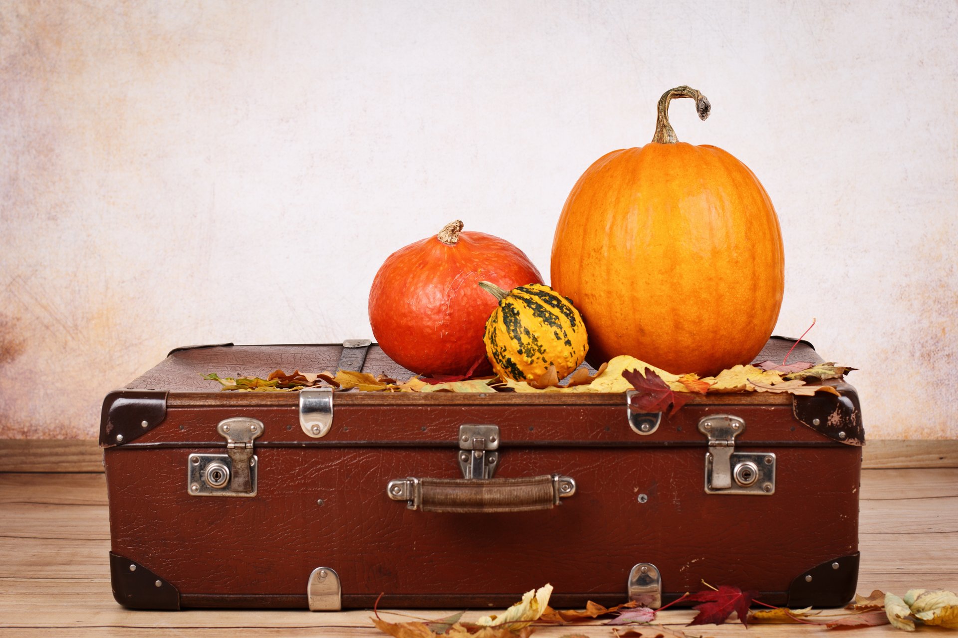 Vintage suitcase and pumpkins