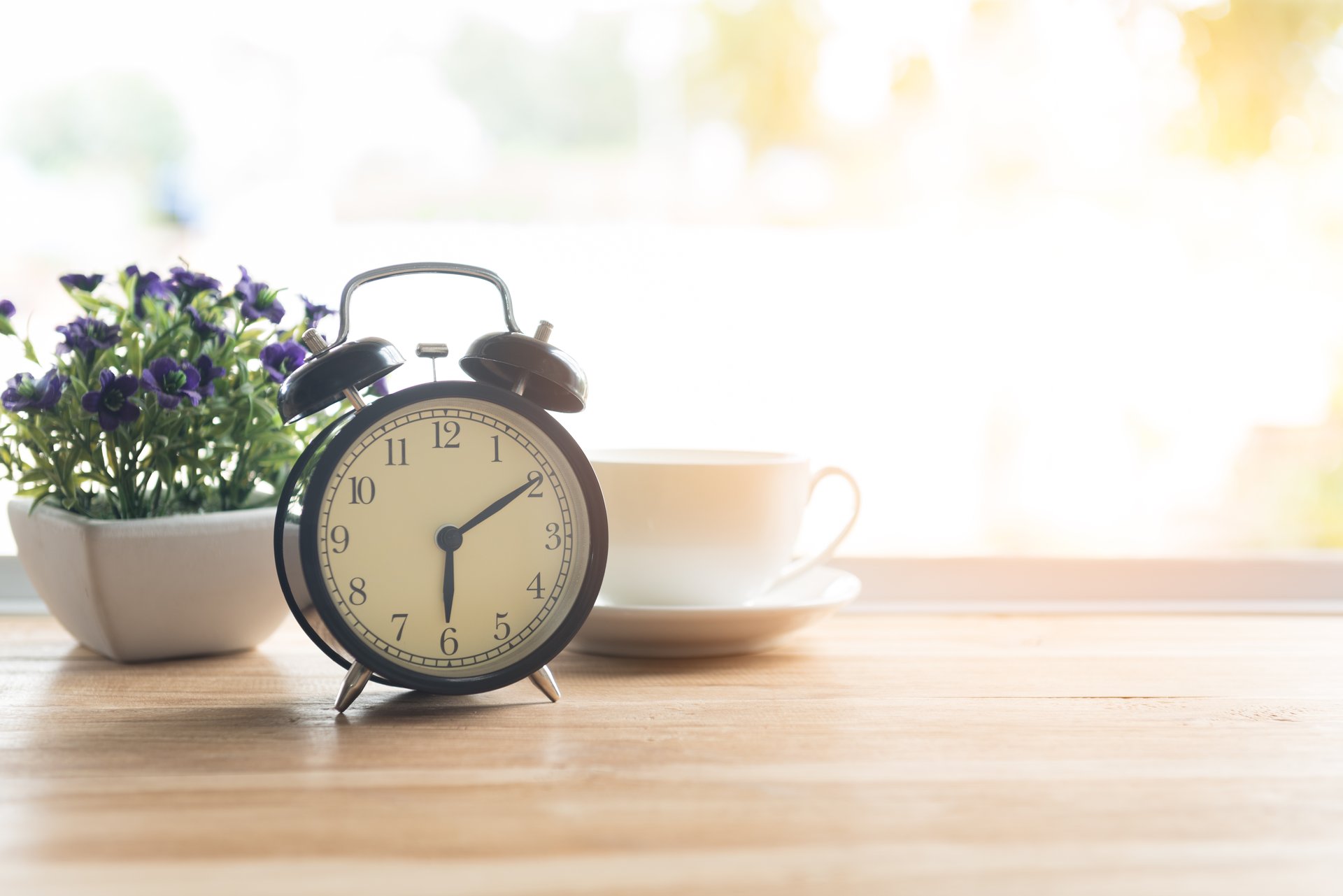 An alarm clock sits next to a plant and a cup of coffee