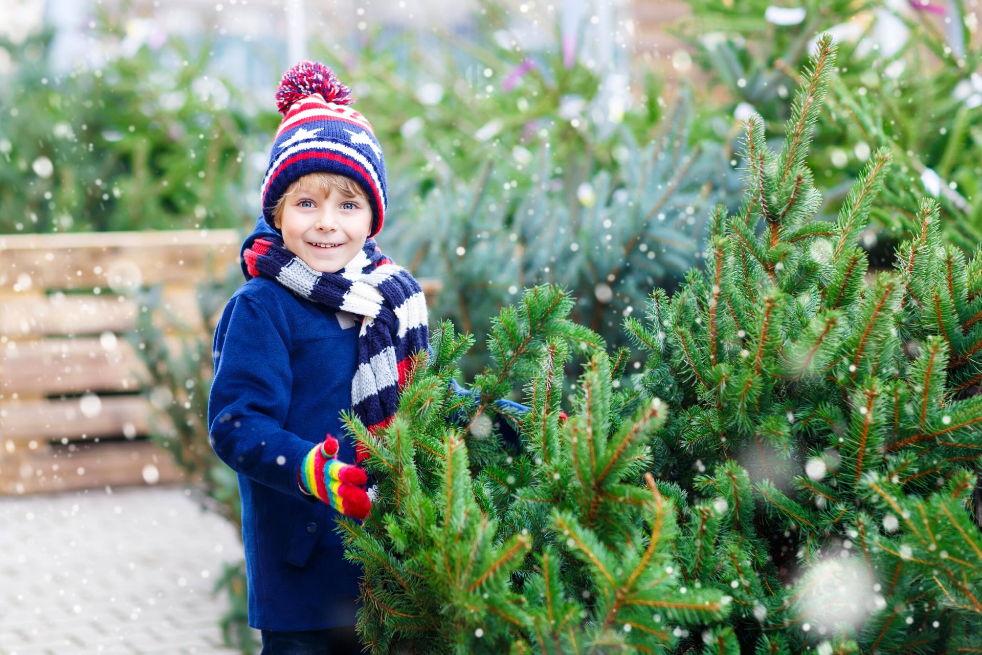 A child with a Christmas tree