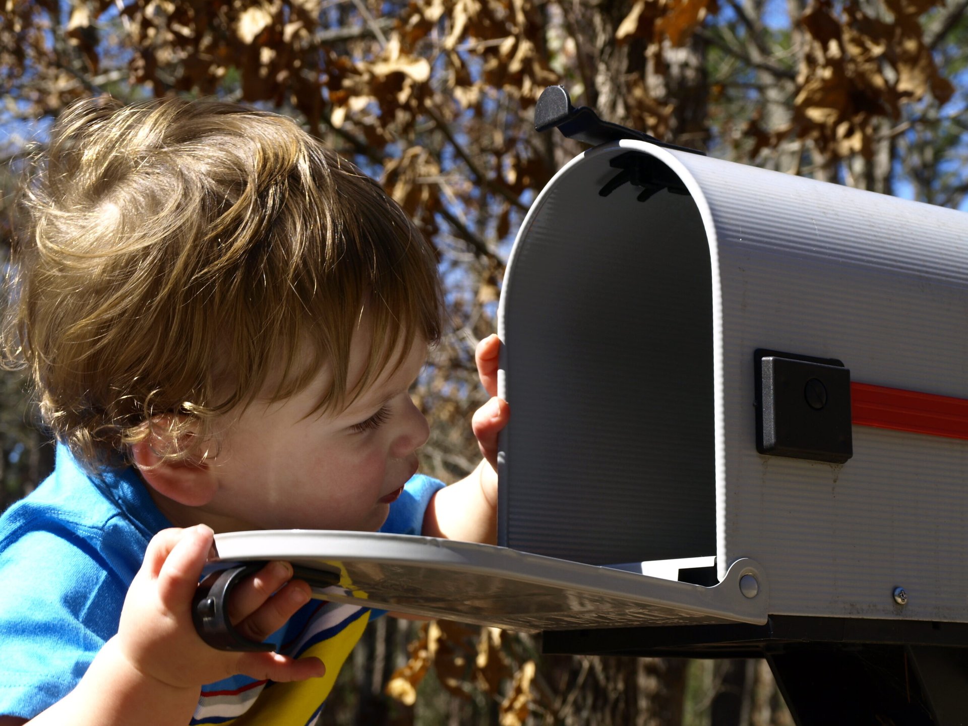 Child looking into an empty mailbox