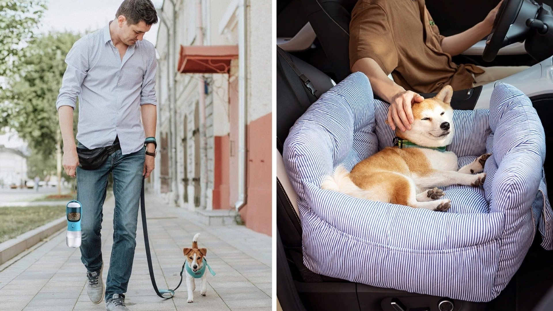 Essential Tips for Traveling with Your Pets This Year Essential Tips for Traveling with Your Pets This Year