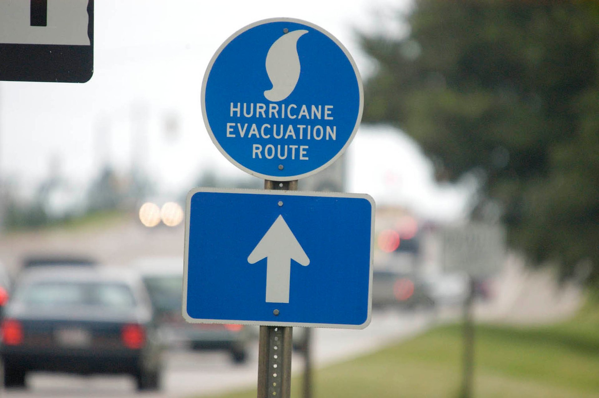 Hurricane Ride Sign 4 Essentials for Surviving Hurricane Season