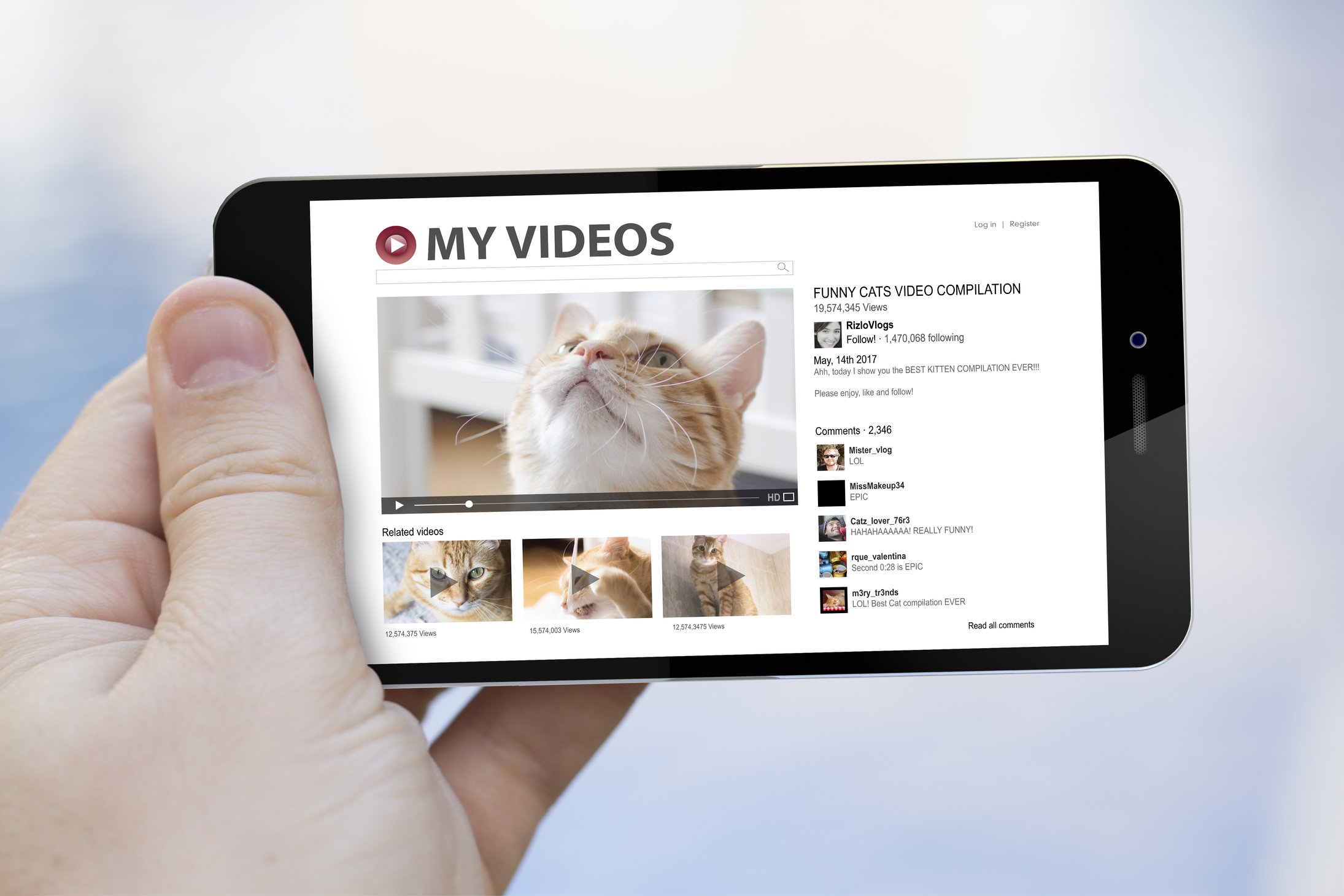 Cat videos