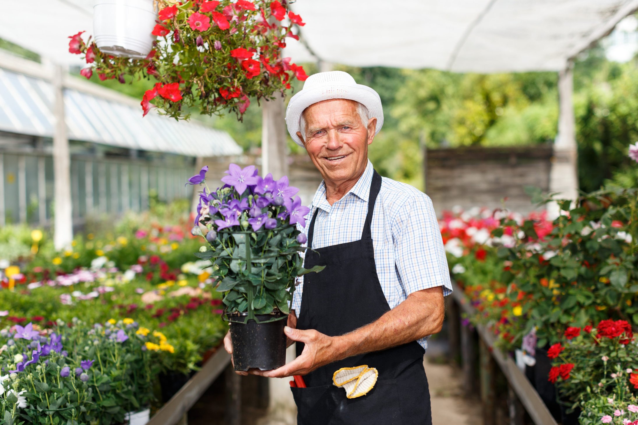 senior man holding flowers