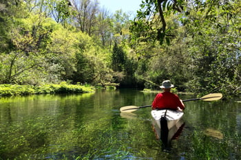 Senior man kayaking in Ichetucknee Springs State Park, Florida