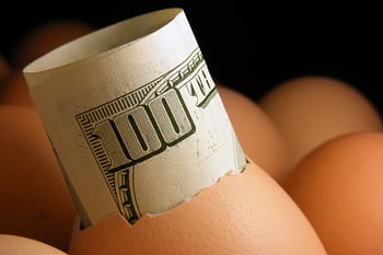 Retirement nest egg with $100 bill