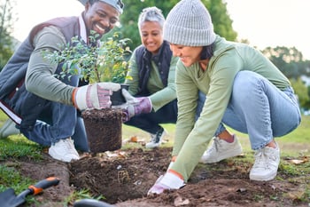 Volunteer group planting trees for Earth Day