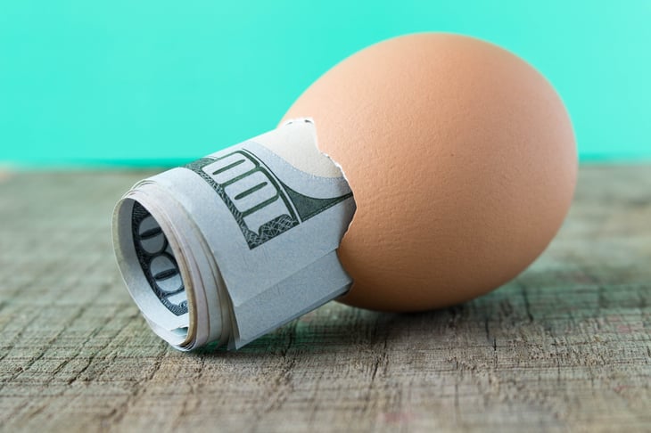 Nest egg