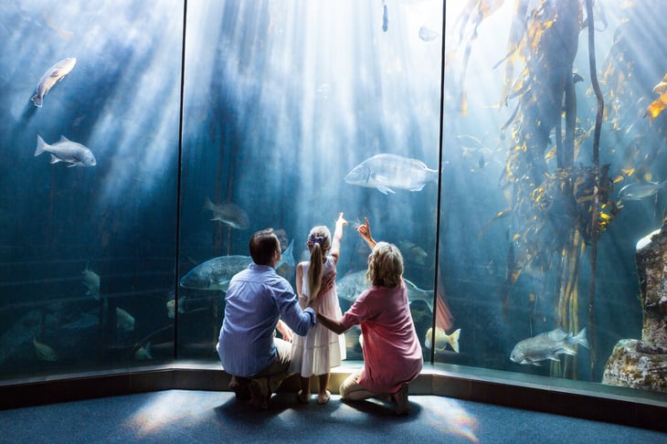 Family at aquarium