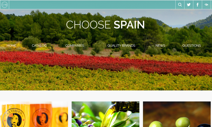Screen shot of ChooseSpain.net site.