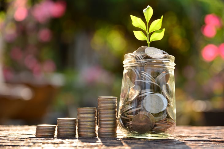 Money growing