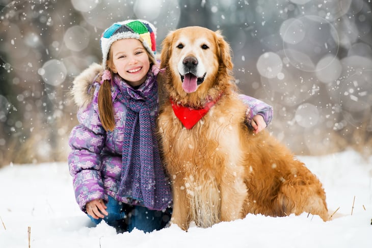 Girl with a golden retriever dog in the snow