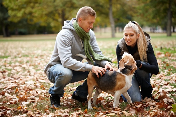 Couple playing with their dog at a park in autumn