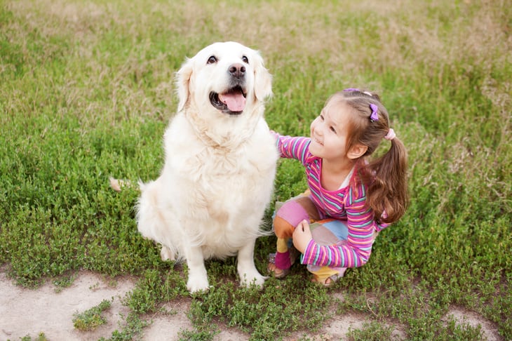 Child with a golden retriever outside