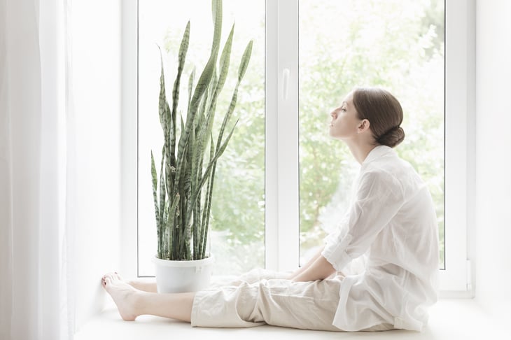 A woman sits next to a snake plant