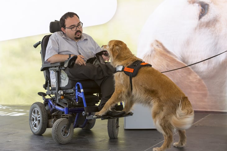 Man in a wheelchair with his service dog