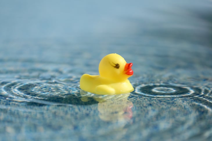Yellow rubber duck in clear blue water