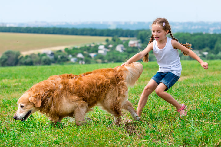 Sometimes it's hard to tell who is walking whom.