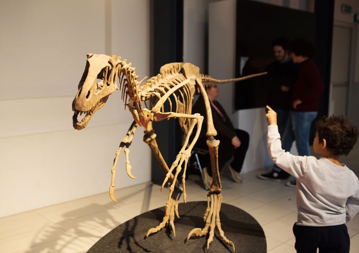 Many museums now have displays that are more enjoyable and interactive for kids, alongside the traditional (and often well-loved) dinosaur skeletons, dioramas and collections of clothing, artifacts and taxidermy.