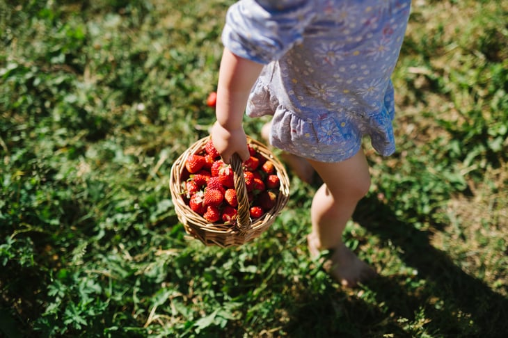 Time to go berry-picking with the kids!