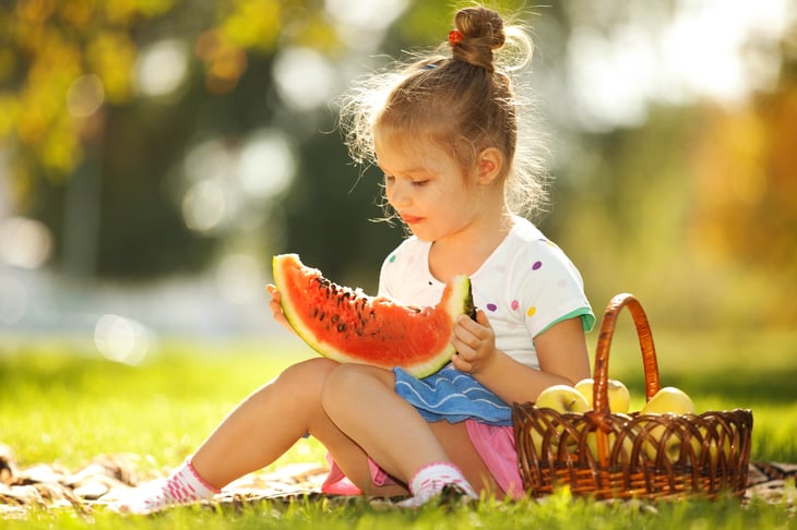 There's nothing like a watermelon from the picnic basket in a hot day.