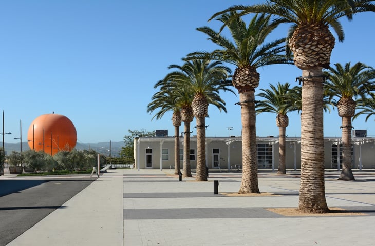 Row of palm trees and hot air balloon at park
