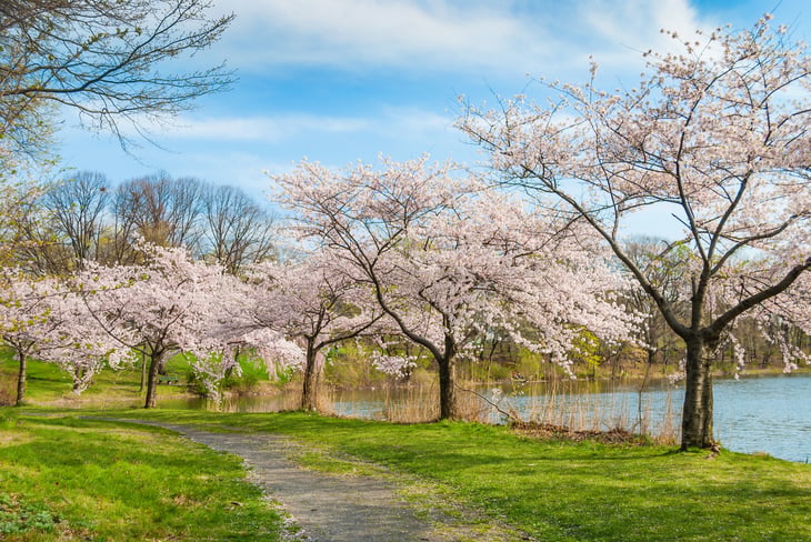 Branchbrook Park in Newark, New Jersey