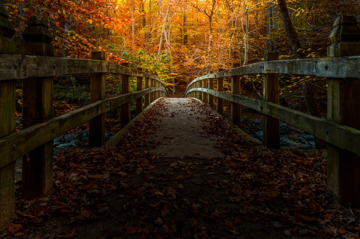 Rock Creek Park in Washington DC, in autumn