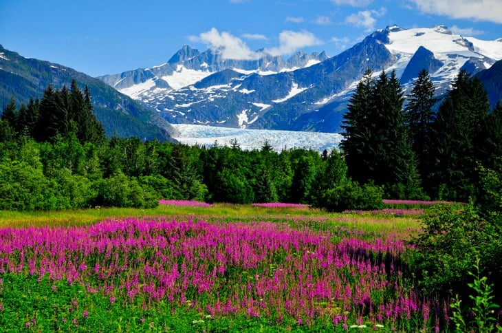 Alaska springtime landscape