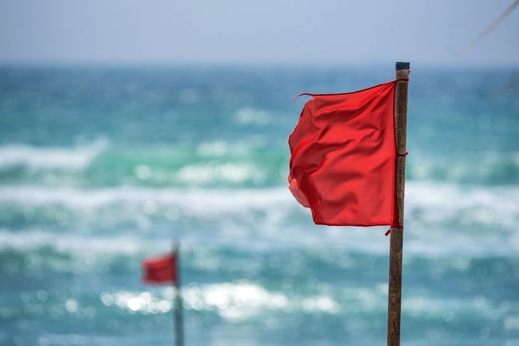 Red flags on beach with rugged surf behind.