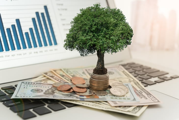 Investment growth