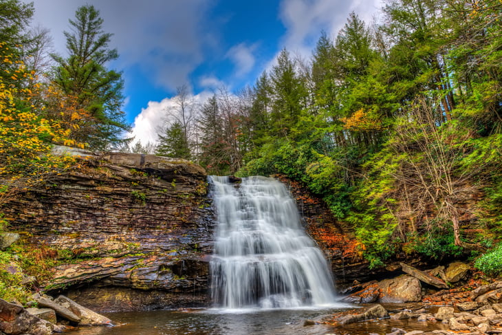 nature outdoors