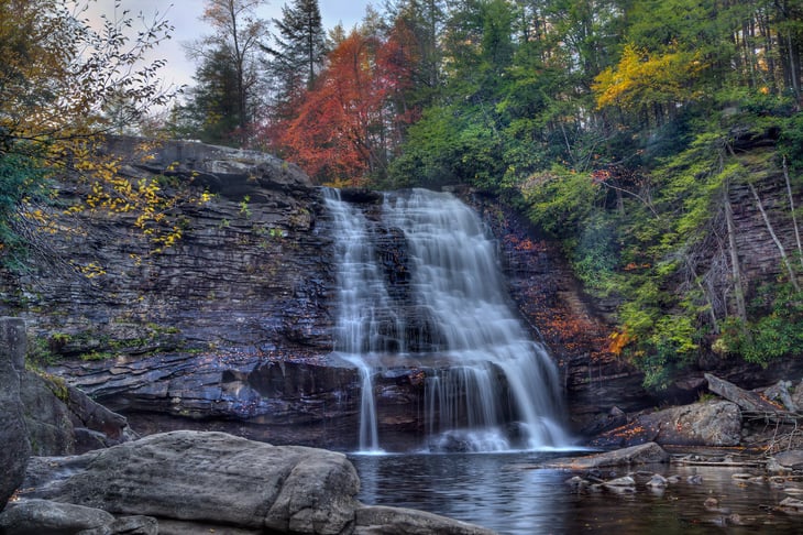 Swallow Falls State Park in Maryland