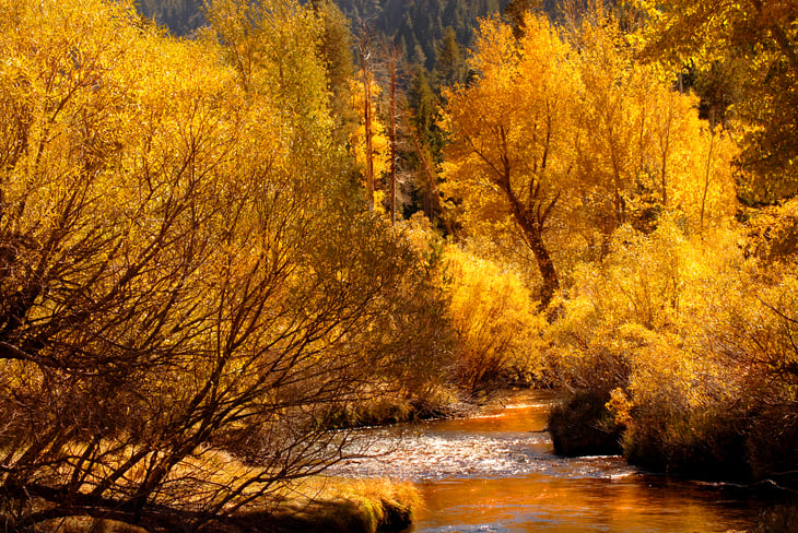 Yosemite National Park in California