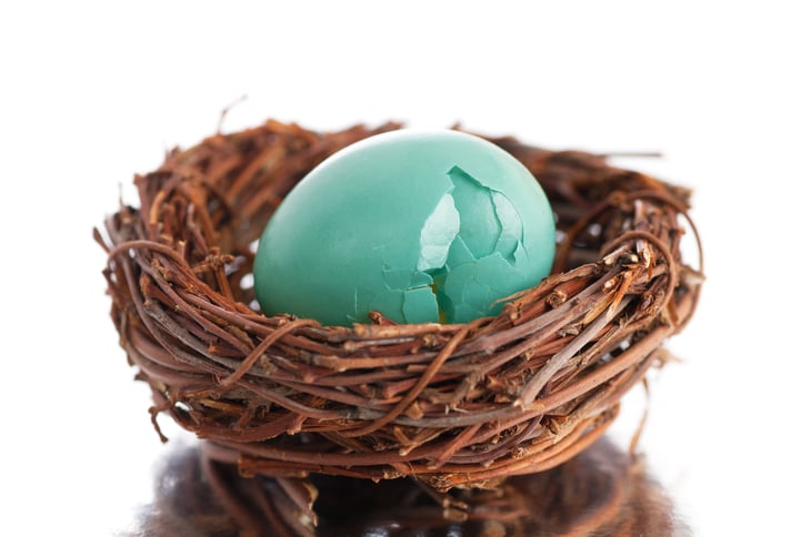 Cracked nest egg