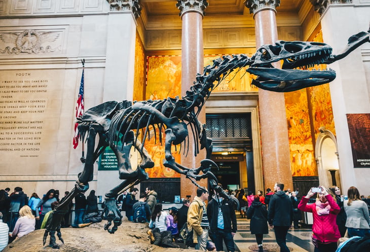 Natural History Museum
