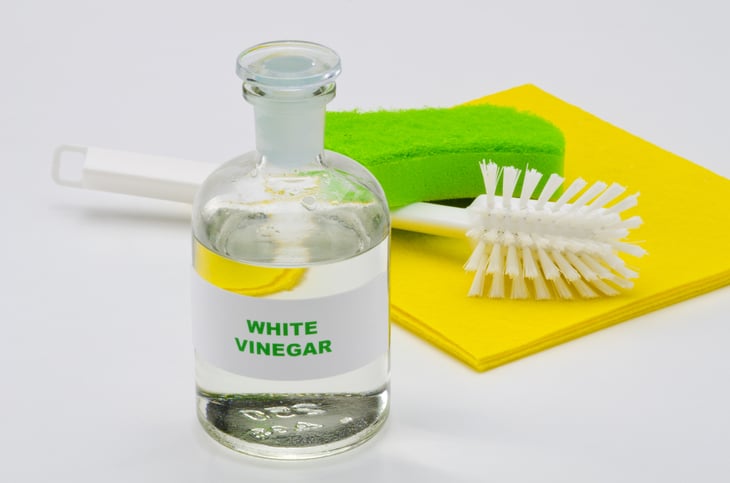 White vinegar and cleaning brush and sponge
